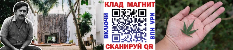 Где найти наркотики Волхов Гашиш  НБОМе  Меф мяу мяу  Бошки Шишки  COCAIN  СОЛЬ 