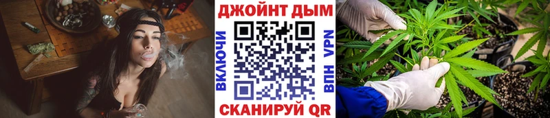 Шишки марихуана AK-47  что такое   кракен зеркало  Волхов 